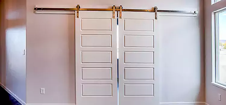 Glass Barn Door with Installation Hardware Kit Haverhill