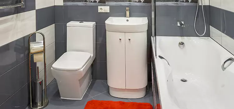 Hansgrohe Shaving Mirror Haverhill